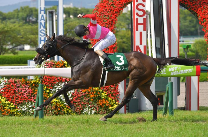 先週回顧 七夕賞注目馬 最強の関係者情報